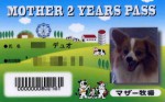 Mother 2 Years Pass